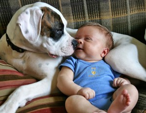 FB Baby and dog CD