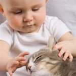 BFB animals baby petting cat