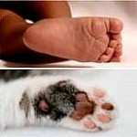 Baby foot and paw_PW