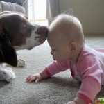 FB Baby on floor with dog