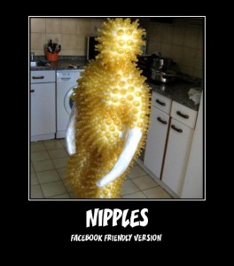 BFB Facebooks war on nipples poster