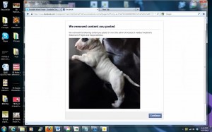 FB Puppy Banned